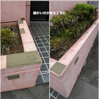 ブログ