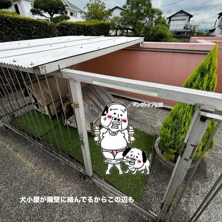ブログ