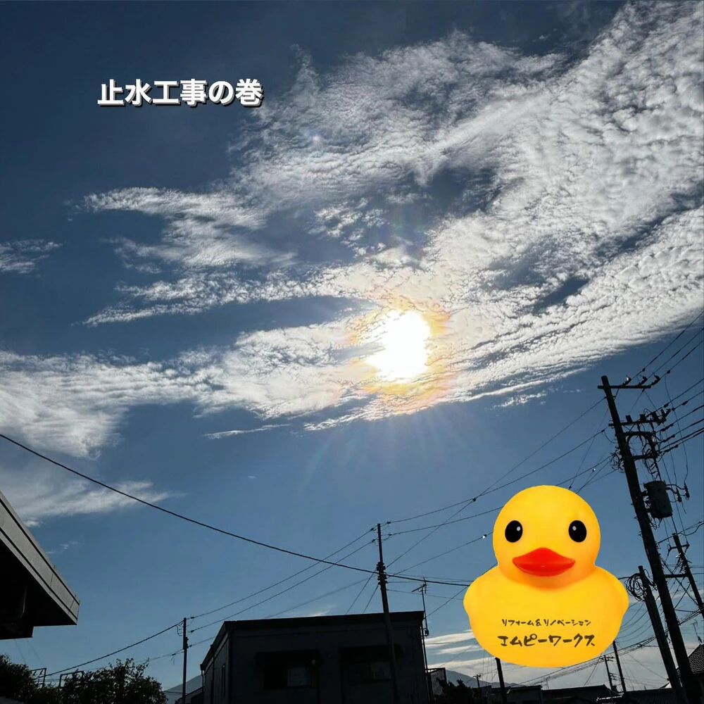 ブログ