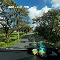 ブログ