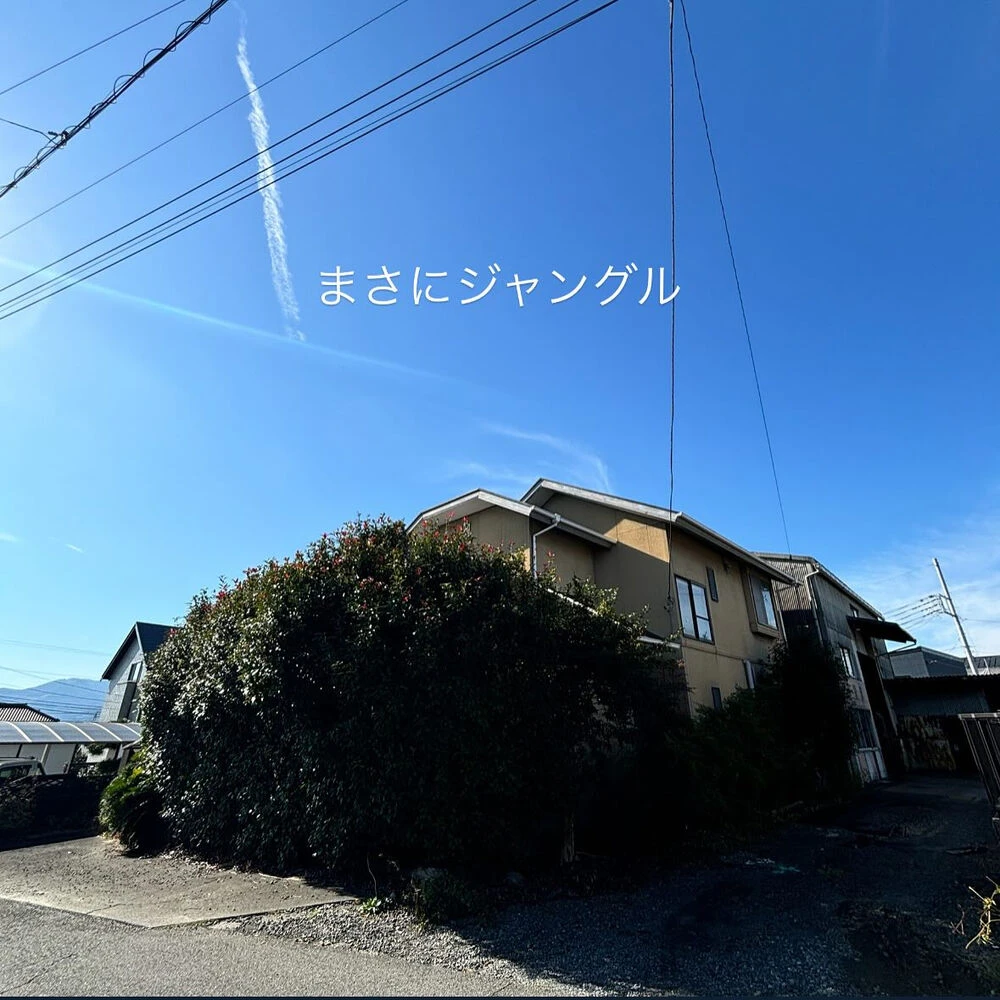 ブログ