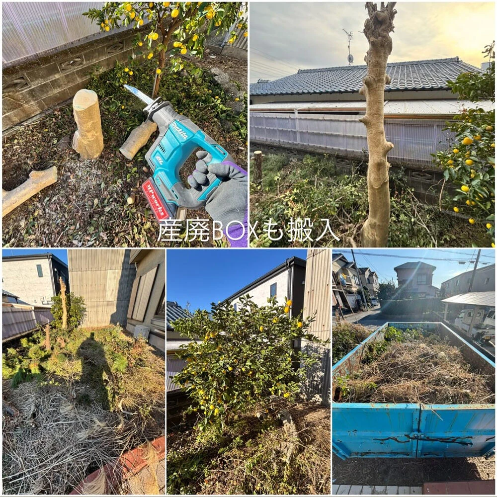 ブログ