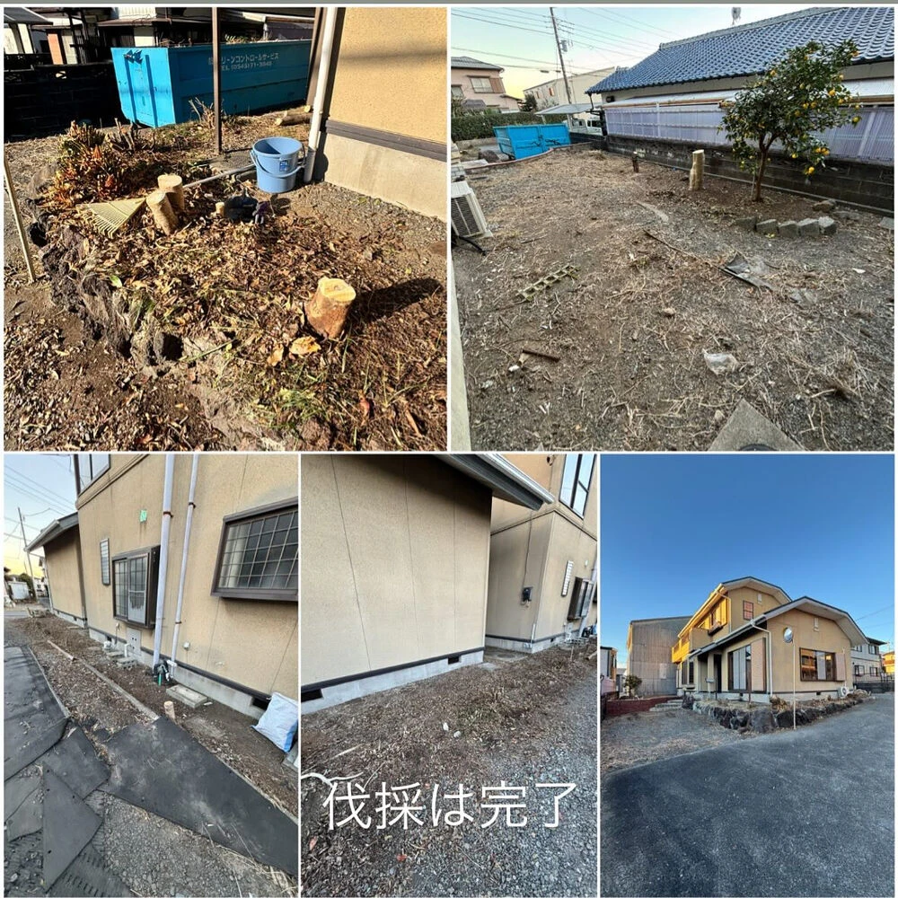 ブログ