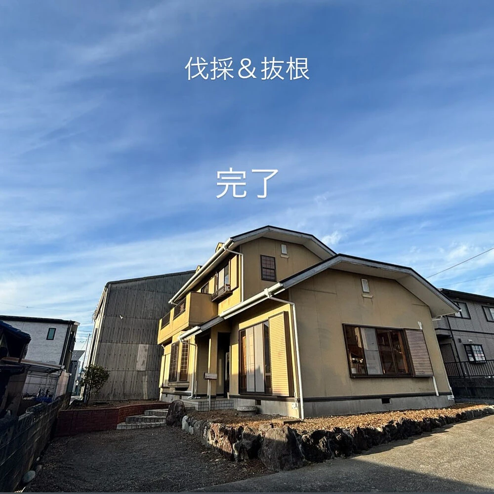 ブログ